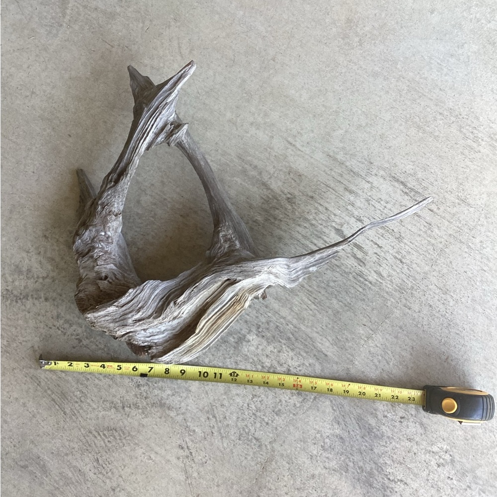 Real Wood, One-Piece Tree Root - Picture 6 of 11